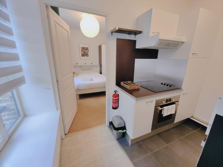 Apartment Lumineux Et Calme Parking Gratuit Lille