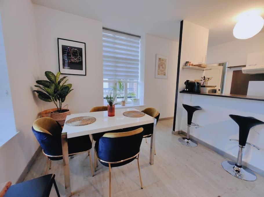 Lumineux Et Calme Parking Gratuit Apartment Lille